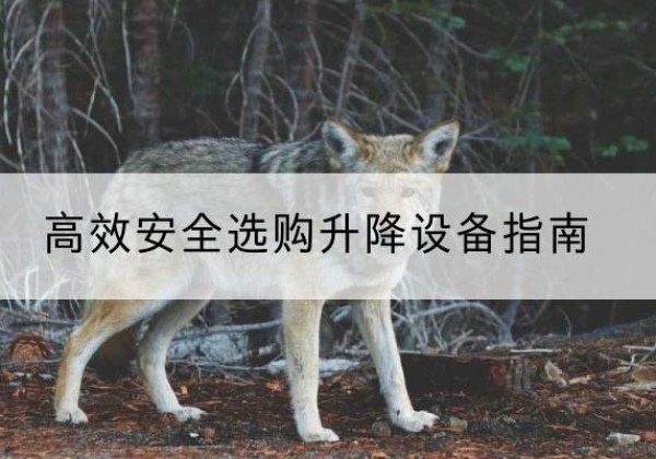 新北升降货梯厂家推荐-*安全选购升降设备指南