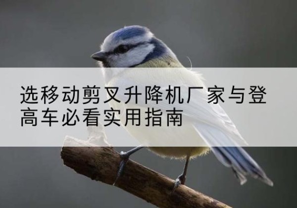 新北电动升降机厂家-选移动剪叉升降机厂家与登高车必看实用指南