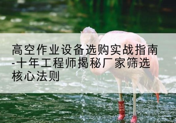 新北剪叉式升降机厂家-高空作业设备选购实战指南-十年工程师揭秘厂家筛选核心法则